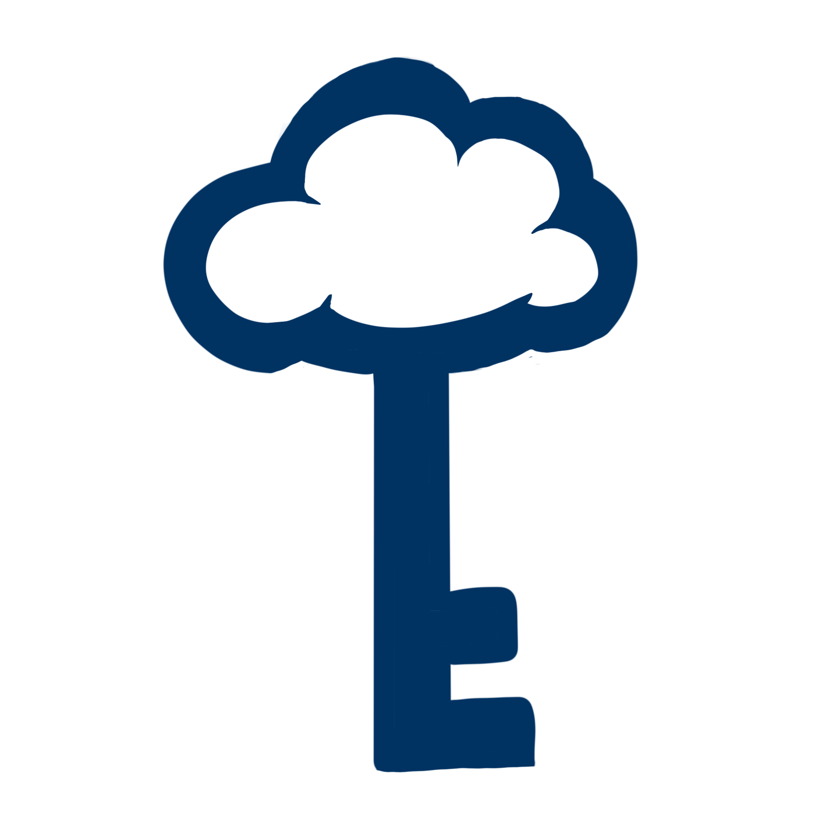 Skydentity Logo